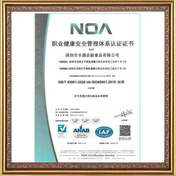 职业健康安全管理体系认证 GB/T45001-2020 idt ISO45001：2018