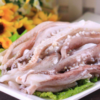 鱿鱼